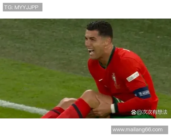 2010年世界杯经典对决回顾葡萄牙与法国的激烈较量与精彩瞬间 2010年世界杯经典对决回顾葡萄牙与法国的激烈较量与精彩瞬间