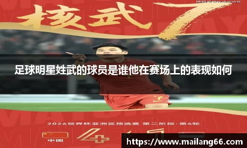足球明星姓武的球员是谁他在赛场上的表现如何